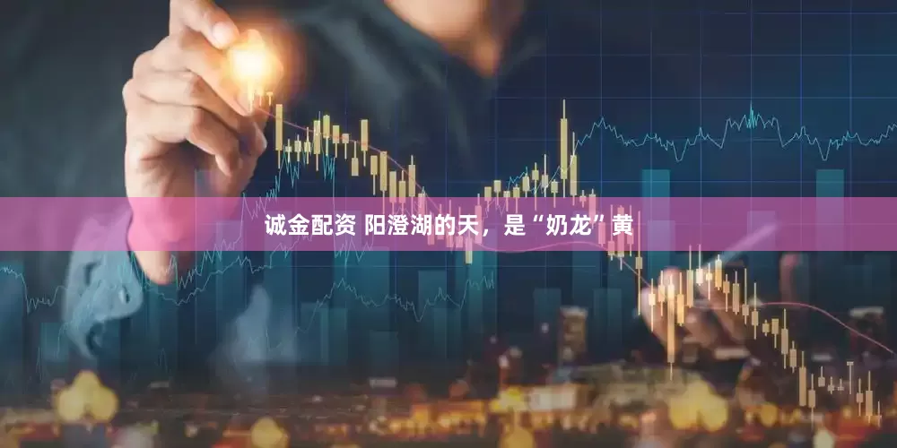 诚金配资 阳澄湖的天，是“奶龙”黄