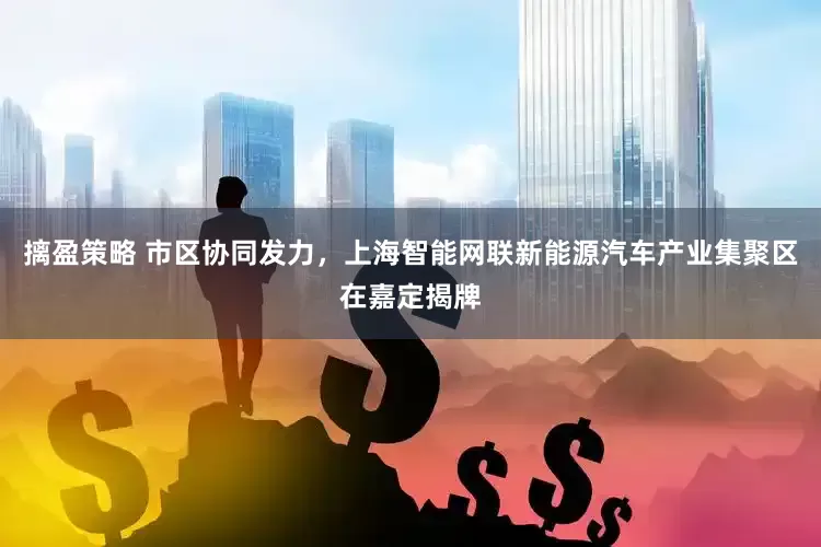 摛盈策略 市区协同发力，上海智能网联新能源汽车产业集聚区在嘉定揭牌