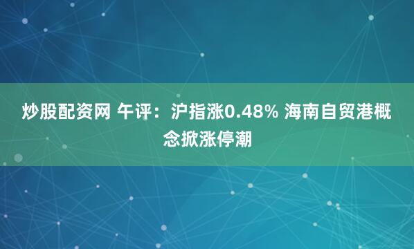 炒股配资网 午评：沪指涨0.48% 海南自贸港概念掀涨停潮