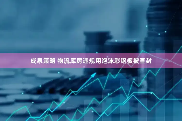 成泉策略 物流库房违规用泡沫彩钢板被查封